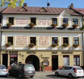 Hotel Panský dům, Nové Mesto Na Morave